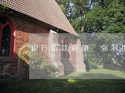 银行贷款逾期 强制执行后果 银行贷款逾期 强制执行后果